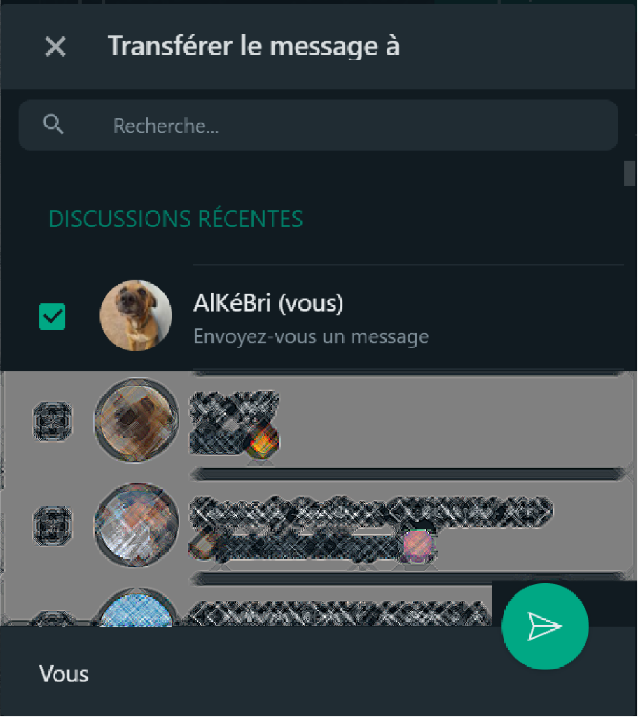WhatsApp_je_discute_avec_moi_meme_transfert